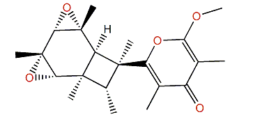 Elysiapyrone A